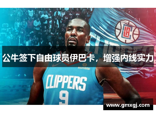 公牛签下自由球员伊巴卡，增强内线实力