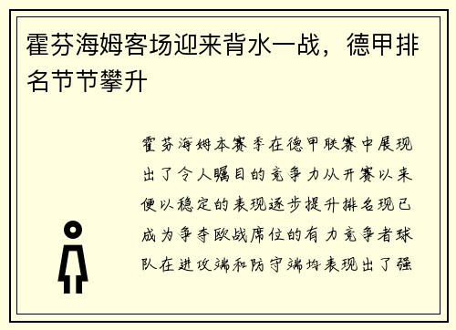 霍芬海姆客场迎来背水一战，德甲排名节节攀升